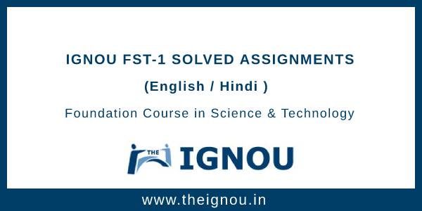 fst 1 solved assignment 2019 in hindi pdf