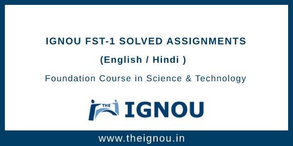 fst 01 assignment pdf