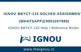 IGNOU BBYCT133 Assignment