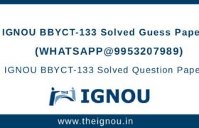 BBYCT-133 Guess Papers